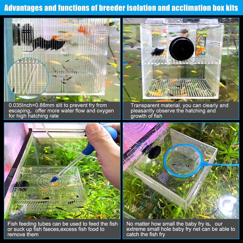 NestBasics Magnetic Fish Breeder Box for Isolation Boxes Acclimation Hatchery breeding Incubator for Guppy Baby Betta Shrimp Saltwater Clownfish Coral Anemones Aggressive or Injured Fishes - Image 4